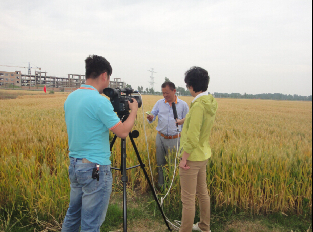 宿州農戶使用低聚糖素接受市電視臺專訪